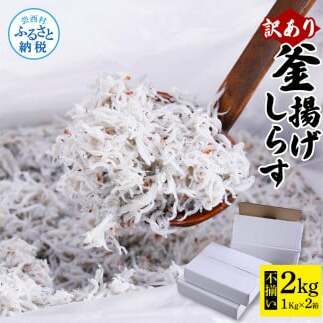 MMK005-1　訳あり釜揚げシラス1kg×2個 高知県産 釜揚げしらす 簡易梱包 わけあり 不揃い シラス 国産 釜揚げ 新鮮 しらす丼 海鮮丼 お茶漬け 冷凍配送 塩分控えめ お取り寄せ