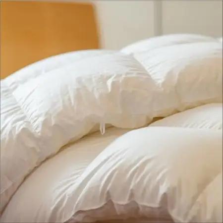 ポーランド産コウダ種ホワイトグース ダウン93% 冬用羽毛ふとん シングルサイズ【1457461】