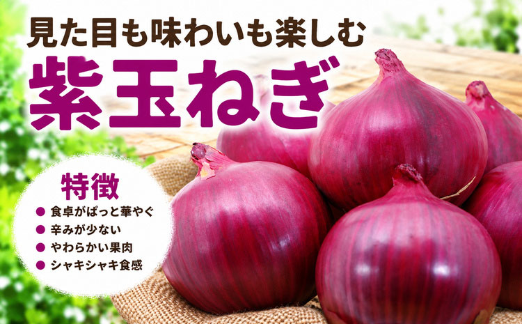 野菜 玉ねぎ・紫玉ねぎ 20kg B&T TRADING株式会社《30日以内に出荷予定(土日祝除く)》北海道 日高町 玉ねぎ 紫玉ねぎ 赤玉ねぎ 北海道産 国産 野菜 大容量 家庭用 常備野菜 サラダ