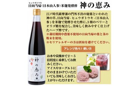 B0-158 最高峰三年熟成玄米黒酢・金之琥珀＆日向当帰(日本山人参)米麹発酵甕酢・神の恵みセット！大甕で三年以上熟成させた玄米黒酢(900ml)と3種のベリーも入った飲みやすいハーブ酢(500ml)