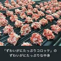 ずわいかにコロッケ カジキメンチ 10個セット (5個×2種)  惣菜 _AF056
