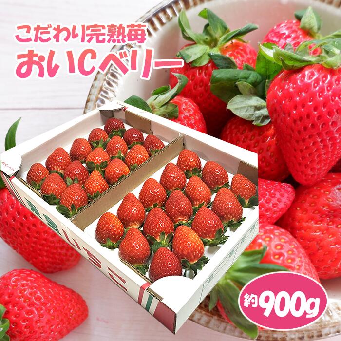 【ふるさと納税】No.154 こだわり完熟苺（おいCベリー）900g ／ 完熟 いちご イチゴ 果物 フルーツ 送料無料 千葉県