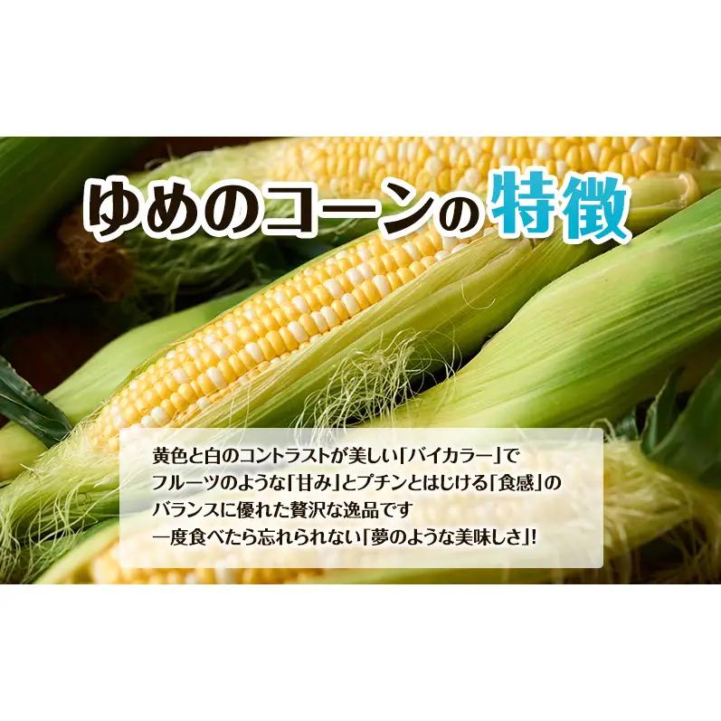 【2026年夏出荷】富良野産 とうもろこし ゆめのコーン 10本 (約5kg) L～LLサイズ 野菜 新鮮 直送 コーン とうきび 道産 北海道 幕田農園