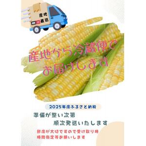 【2025年度】愛知県みよし市産 朝採り「夢コーン。」Lサイズ8本セット 数量限定【配送不可地域：離島・沖縄県】【1623769】