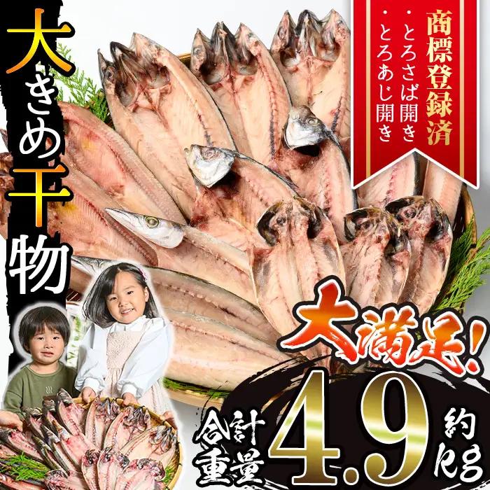 干物 あじ さば 詰め合わせ 約4.9kg 大きめ 干物 セット【みのだ食品】 No.406-C