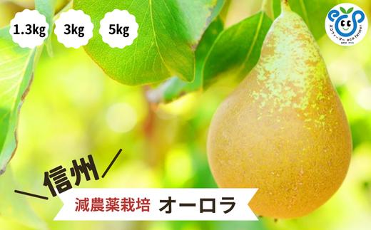 
            【信州松川町産】 希少な洋梨 オーロラ 約1.3kg～約5kg ／9月上旬～9月中旬発送開始予定 // 長野県 南信州  減農薬栽培 洋梨 オーロラ エコファーマー認証 農家支援 HF
          