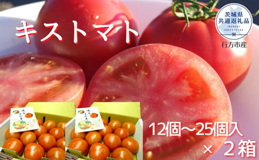 【2025年2月以降発送】キストマト約2kg　1箱(12個～25個入)×2（茨城県共通返礼品／行方市産）