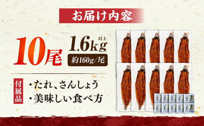 福岡県産 うなぎ 蒲焼 大 10尾　計1,600g（1尾あたり 160g以上）《豊前市》【福岡養鰻】 国産 鰻 ウナギ 蒲焼き [VAD026]