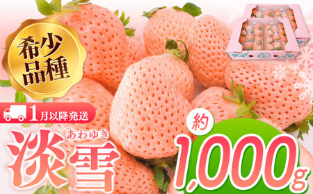白いちご 淡雪 約1000g｜西谷農園