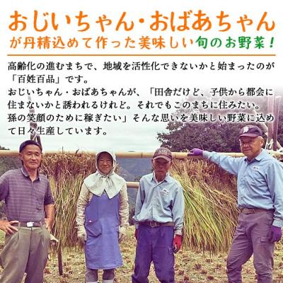 ふるさと納税 西予市 <せいよのうまいもんセット 3回定期便> 西予市産 愛媛県産 国産 旬 季節の野菜 やさい |  | 03