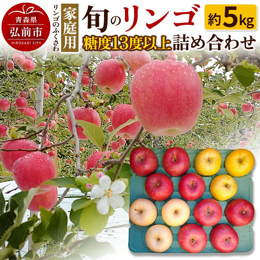 【ふるさと納税】【寄附金額見直しました】りんご 家庭用 旬のリンゴ詰め合わせ 約5kg 糖度13度以上