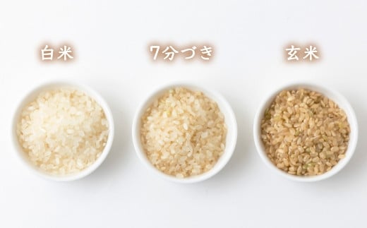 【12ヶ月定期便】みずほファーム UKIHA RICE (玄米5kg×12ヶ月)  【2025年11月より順次発送予定】 米 ヒノヒカリ  玄米 お米 ご飯 うきは市