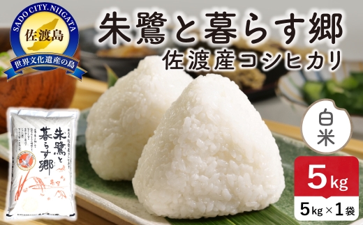 令和8年産 佐渡島産 朱鷺と暮らす郷 白米5kg 特別栽培米 | 新潟県産コシヒカリ 佐渡産コシヒカリ 朱鷺と暮らす郷 朱鷺認証米 特別栽培米 お米 米 白米 精米 おこめ コメ 5キロ にいがた さど 新潟県 佐渡市