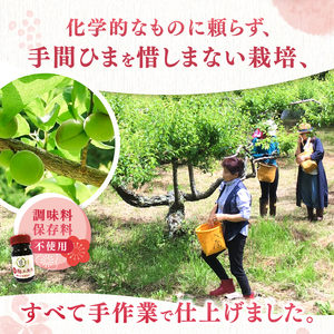 凝縮された100％梅！ 梅エキス 10ml 