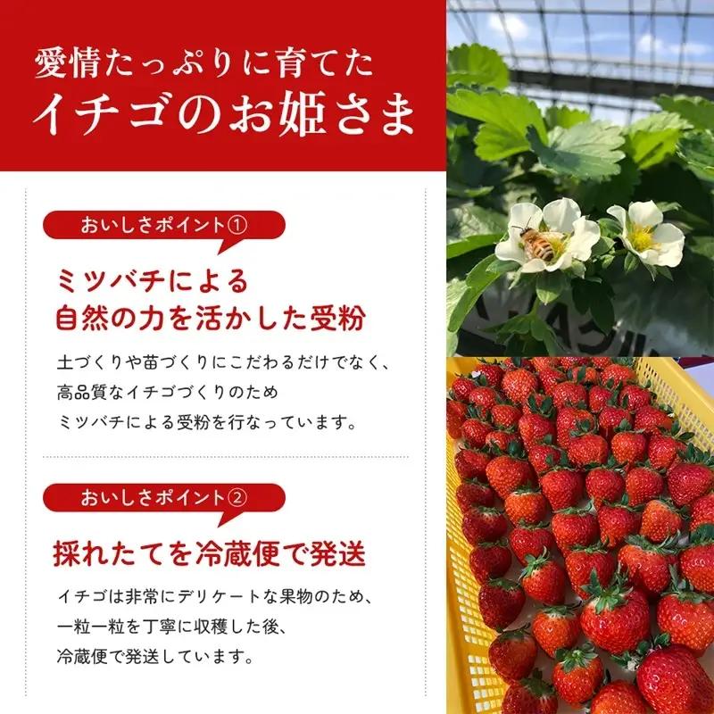 香川讃岐の毎月食べたい定期「さぬきひめいちご 1kg」3ヶ月定期便