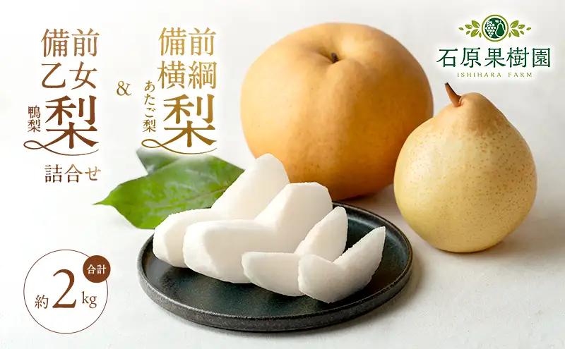 梨 詰合せ 備前横綱梨・備前乙女梨 岡山県産 梨詰合せ【約2.0kg あたご1玉 鴨梨2～3玉】【先行予約】
