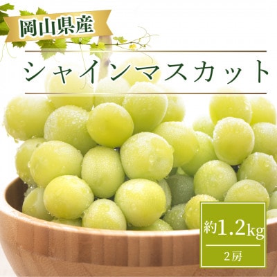 【2026年9月より順次発送】岡山県産 シャインマスカット  約1.2kg(2房)【配送不可地域：離島】