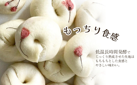 Happy Bagel 【卵・乳アレルギー対応】 プレーンベーグル  8個セット フレーバーいろいろ 種類お任せ（冷凍配送）　ベーグル 自家製酵母パン 卵・乳成分不使用 ハッピーベーグル 