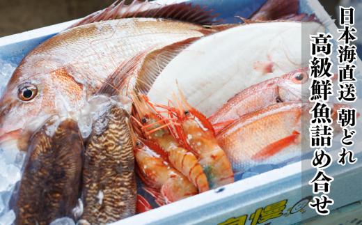 
日本海直送 高級鮮魚ボックス 旬の魚詰め合せ 魚のプロが選んだ厳選魚 新潟 糸魚川 能生漁港から朝獲れ新鮮な魚をお届け 生 (国産 天然 海鮮 お刺身 魚介類セット 鮮魚BOX 便利 簡単 お手軽 高級) 魚正
