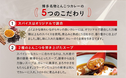 博多名物とんこつカレー豚骨スープ付き 200ｇ×5袋  [H2090]