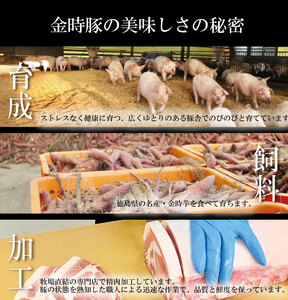 豚肉 4種 切り落とし 960g 小分け 国産 金時豚 ブランド豚 冷凍 とんかつ 焼肉 ロース バラ セット 徳島県 阿波市 