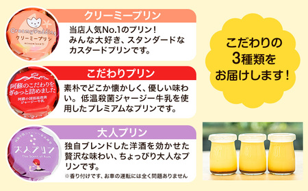 プリン 南阿蘇のプリン専門店 キャラメルプディング 人気プリン3種×3個セット 計9個お届け《60日以内に出荷予定(土日祝除く)》プリン 南阿蘇こだわりプリン 大人プリン クリーミープリン 手作り 阿
