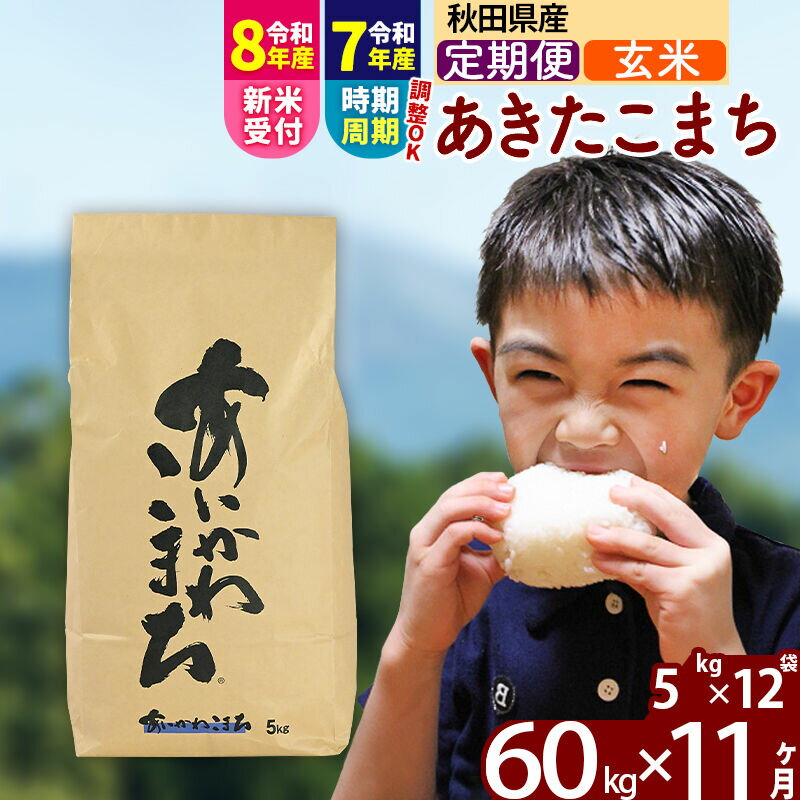 【ふるさと納税】※令和7年産／R8産新米予約※ 《定期便11ヶ月》秋田県産 あきたこまち 60kg【玄米】(5kg小分け袋) 2025年産 2026年産 令和8年産 お届け時期選べる お届け周期調整可能 隔月に調整OK お米 藤岡農産 [藤岡農産 秋田]