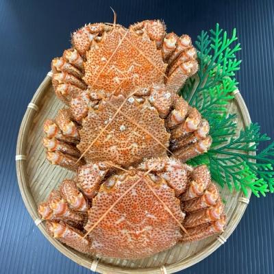 ふるさと納税 根室市 毛蟹600g×3尾 D-66013