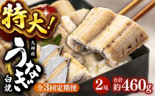 全3回定期便 鹿児島産うなぎ 白焼2尾セット ▼国産 鰻 ウナギ 白焼き 特大 本格 有頭 桂川町/山水商事 [ADAH015]