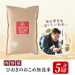 国産 鹿児島県産 ひおきのおこめ 無洗米 5kg No.598 正留産業