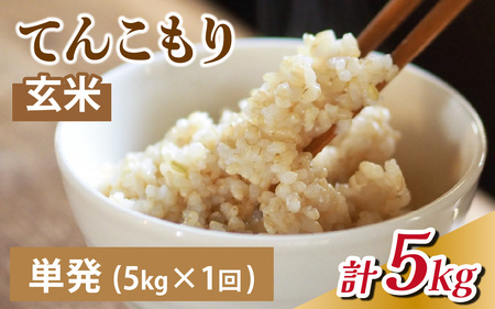 25年10月中旬以降順次発送　玄米  5kg 富山県滑川産「てんこもり」与文のお米 / 産地直送 袋 ブランド米 お米 白米 ご飯 ごはん 富山 滑川市 アグリめぐみ [A-050003]