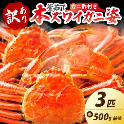 ふるさと納税 京丹後市 【大好評!カニ酢付き】訳あり!釜茹で!本ずわいがに姿 3匹(500g前後×3匹)