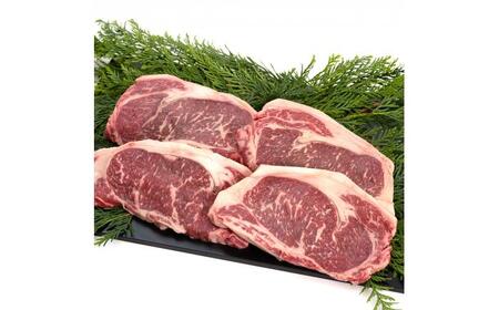 くまもとあか牛 ロースステーキ 約1kg(2～4枚) ロース ステーキ[AYAN024]