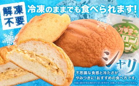 【6ヶ月定期便】パン メロンパン 冷凍 プレーン 12個 手土産 おすそ分け スイーツ パン ギフト 菓子パン 万幸堂 《お申し込み月の翌月から出荷開始》熊本県 荒尾市 送料無料 ベーカリー おやつ 