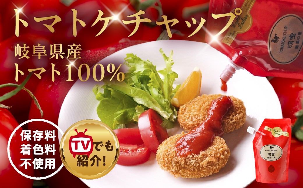
                  明宝トマトケチャップスタンドタイプ1個  人気 調味料  加工品  
                