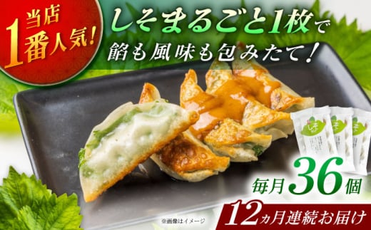 【全12回定期便】【3パック】餃子屋ヒロの 人気のしそ餃子【餃子屋ヒロ】開成町 餃子 点心 惣菜 冷凍 [BDAS012]
