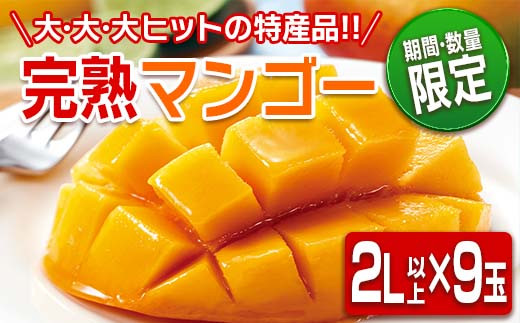 
数量限定 日南市産 完熟 マンゴー 2L以上×9玉 フルーツ 果物 人気 国産 完熟マンゴー 食品 デザート 産地直送 送料無料_HH1-23
