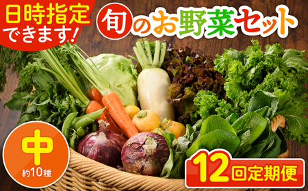 日時指定可能！旬のお野菜セット（サイズ中）【全12回定期便】