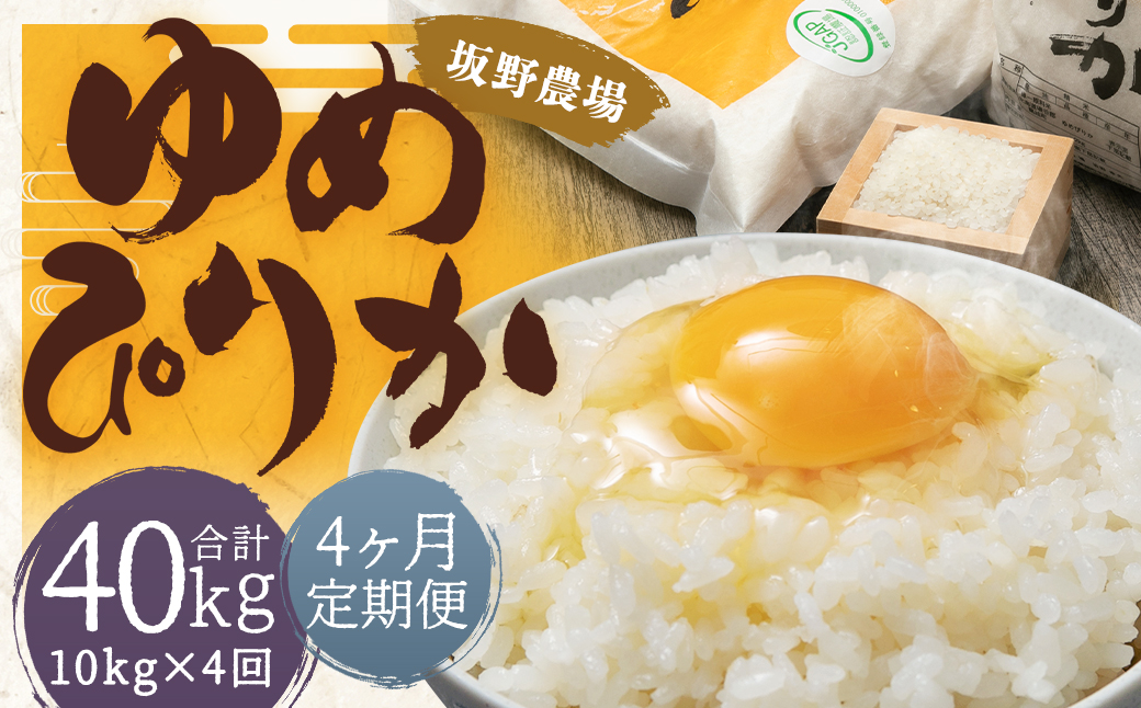 【4ヶ月定期便】令和5年産 らんこし米 ゆめぴりか 10kg(5kg×2袋)