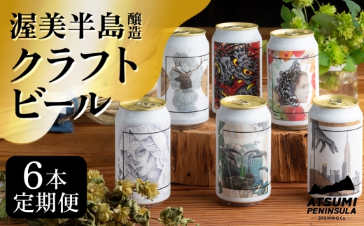 渥美半島醸造ブリュワーズセレクト6本 【定期便3回】