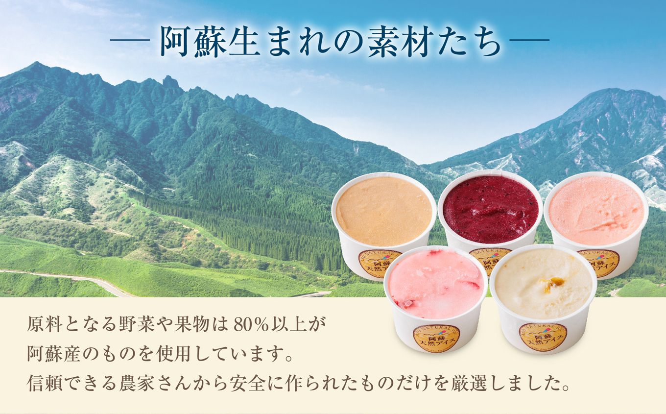 阿蘇天然アイス ジェラート18個セット（生キャラメルチョコ・ブルーベリー・抹茶・いちご・マンゴー・ミルク）6種×3個 計18個 グランプリ 受賞 詰め合わせ 食べ比べ バラエティ 冷たい 冷凍 贅沢 