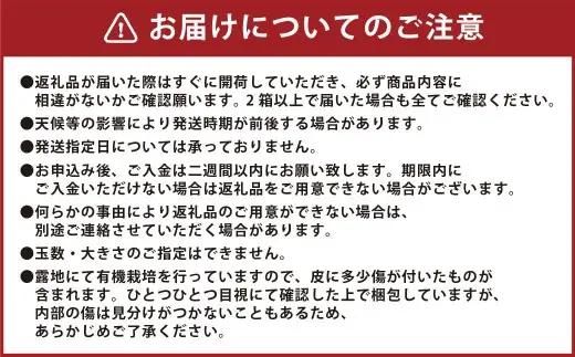 【先行受付】 特選 みかん 5kg 糖度保証 12度！ 【2026年12月上旬から12月下旬発送予定】 温州みかん 果物 フルーツ ミカン 蜜柑 柑橘