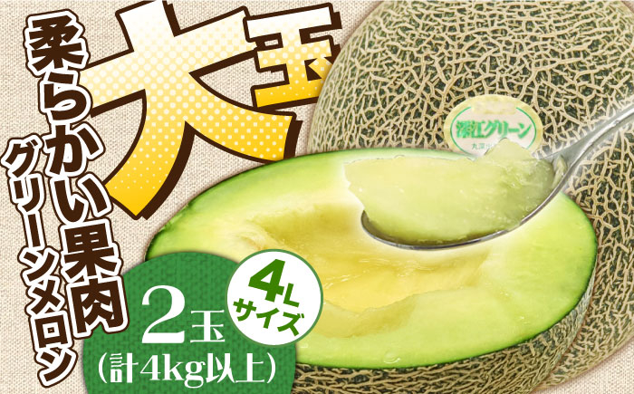 
                  深江グリーンメロン2玉（4kg以上）  / メロン めろん 舐瓜 フルーツ 果物 / 南島原市 / 贅沢宝庫 [SDZ037]
                