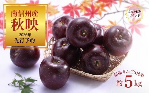 JA12-26A 【先行予約】 りんご 秋映 約5kg ／2026年9月下旬～10月上旬ごろ配送予定 // 長野県 オリジナル品種 南信州産 贈答 南信州ブランド りんご三兄弟 人気 甘い 濃厚