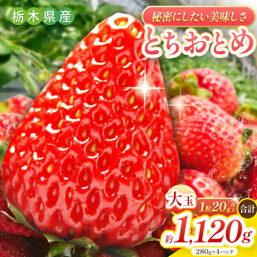 【ふるさと納税】とちおとめ 1120g [2025年12月初旬より順次発送予定] 朝獲れ新鮮 秘密にしたい美味しさ朝摘み 新鮮｜いちご イチゴ 苺 フルーツ 果物 産地直送 とちおとめ 矢板市産 栃木県 矢板市 先行予約