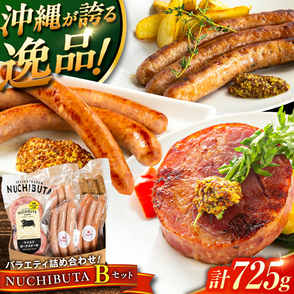 【ふるさと納税】 『NUCHIBUTA Bセット』 豚肉 ポークステーキ ソーセージ お取り寄せ 国産 ギフト 冷凍 沖縄市 / DELICATESSEN NUCHIBUTA [BCAR004] 詰め合わせ 手作り