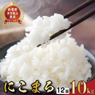 ふるさと納税 安芸市 【毎月定期便】12ヵ月連続でお届け!「にこまる」定期便 10kg 全12回