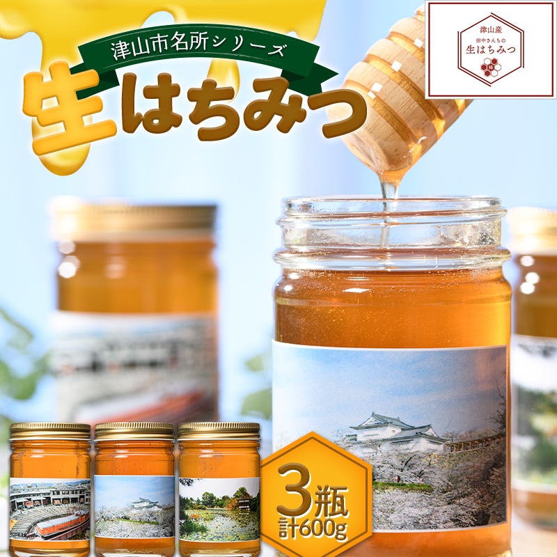 津山市名所シリーズ 生はちみつ200g×3瓶  ハチミツ 蜂蜜 調味料 はちみつ 加工品 食品 TY0-0585