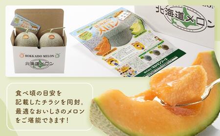 【先行予約】 香り豊かな　北海道レッドメロン 1.3kg～1.6kg×2玉(2024年7月下旬発送予定)