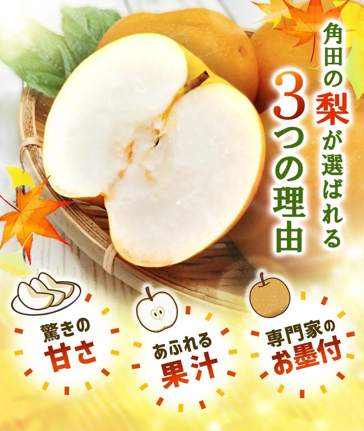 【2026年発送】梨「豊水」約5kg（8～10玉入）【松崎果樹園】｜梨 